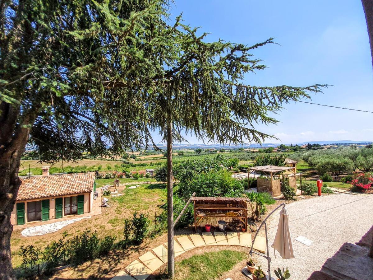 Agriturismo Rosa Antica Monte San Vito Екстериор снимка