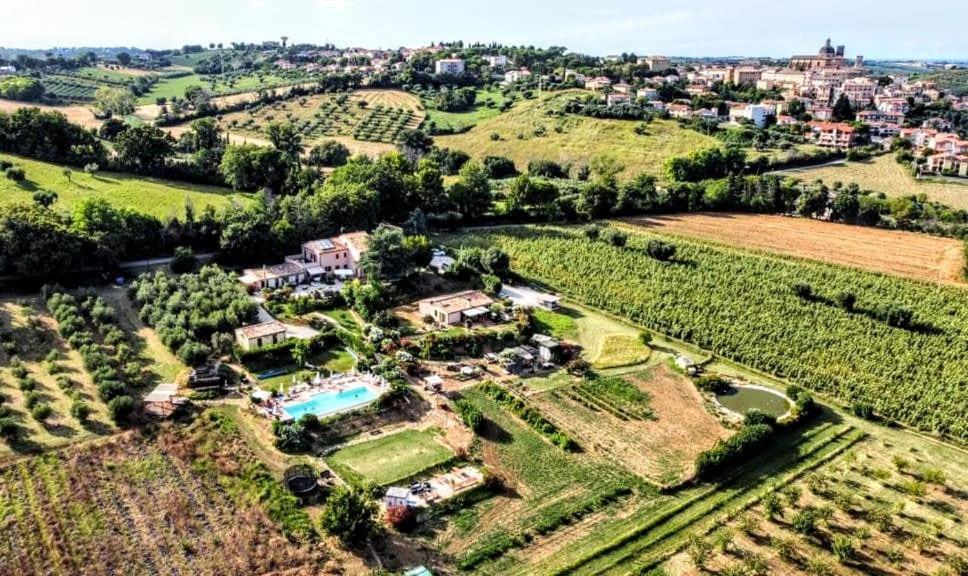 Agriturismo Rosa Antica Monte San Vito Екстериор снимка