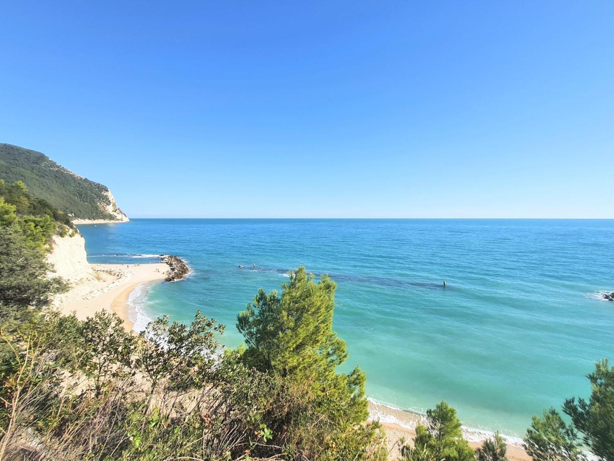 Agriturismo Rosa Antica Monte San Vito Екстериор снимка
