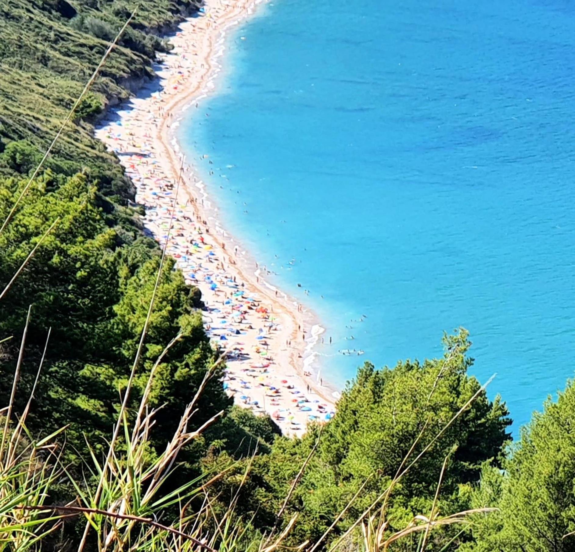 Agriturismo Rosa Antica Monte San Vito Екстериор снимка
