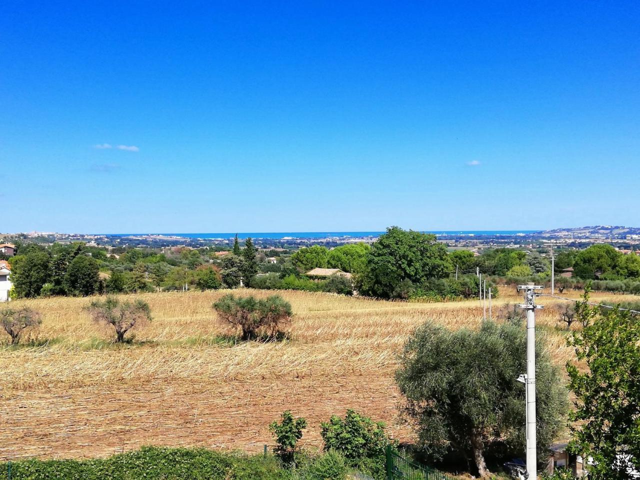 Agriturismo Rosa Antica Monte San Vito Екстериор снимка