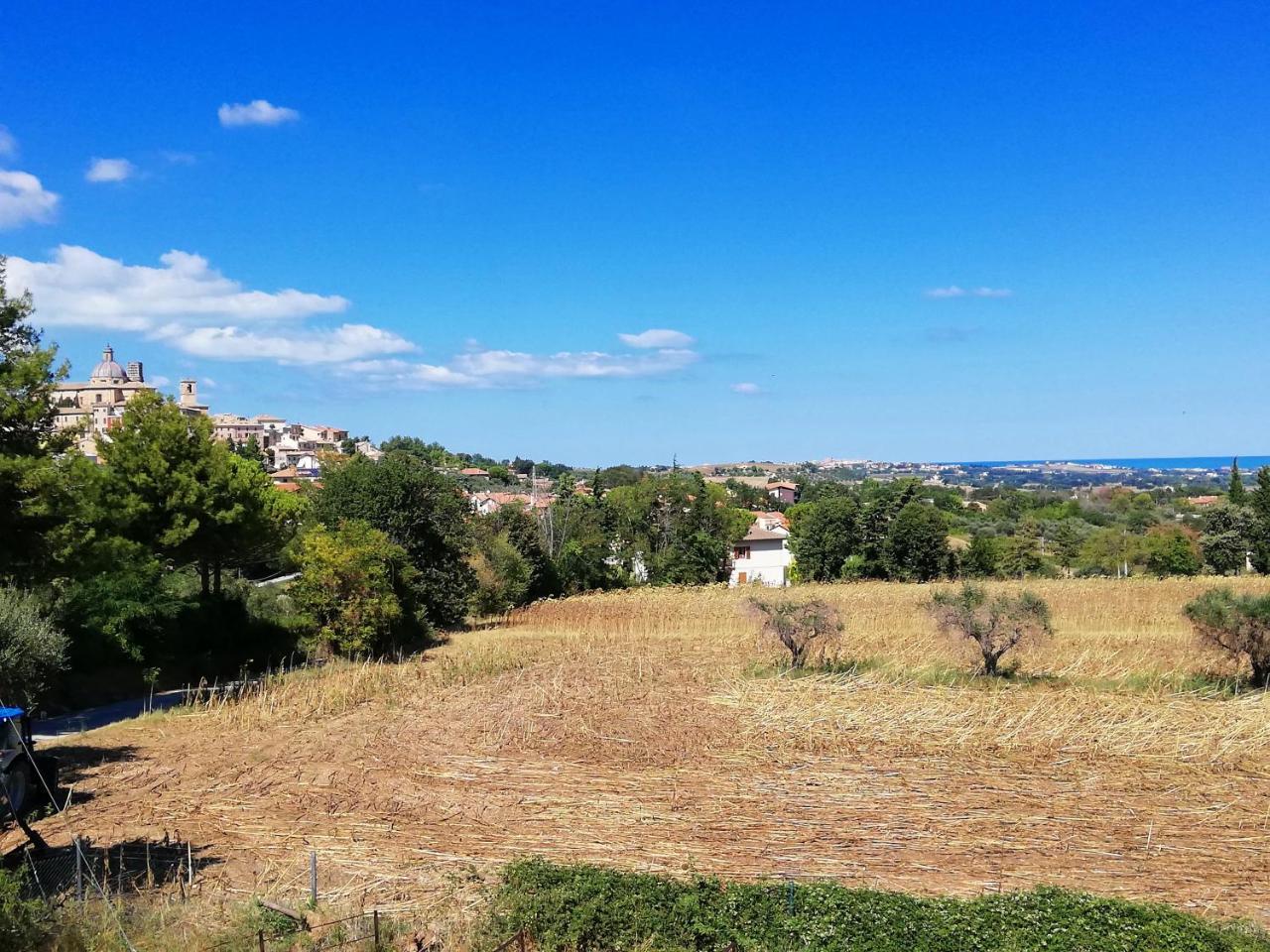 Agriturismo Rosa Antica Monte San Vito Екстериор снимка