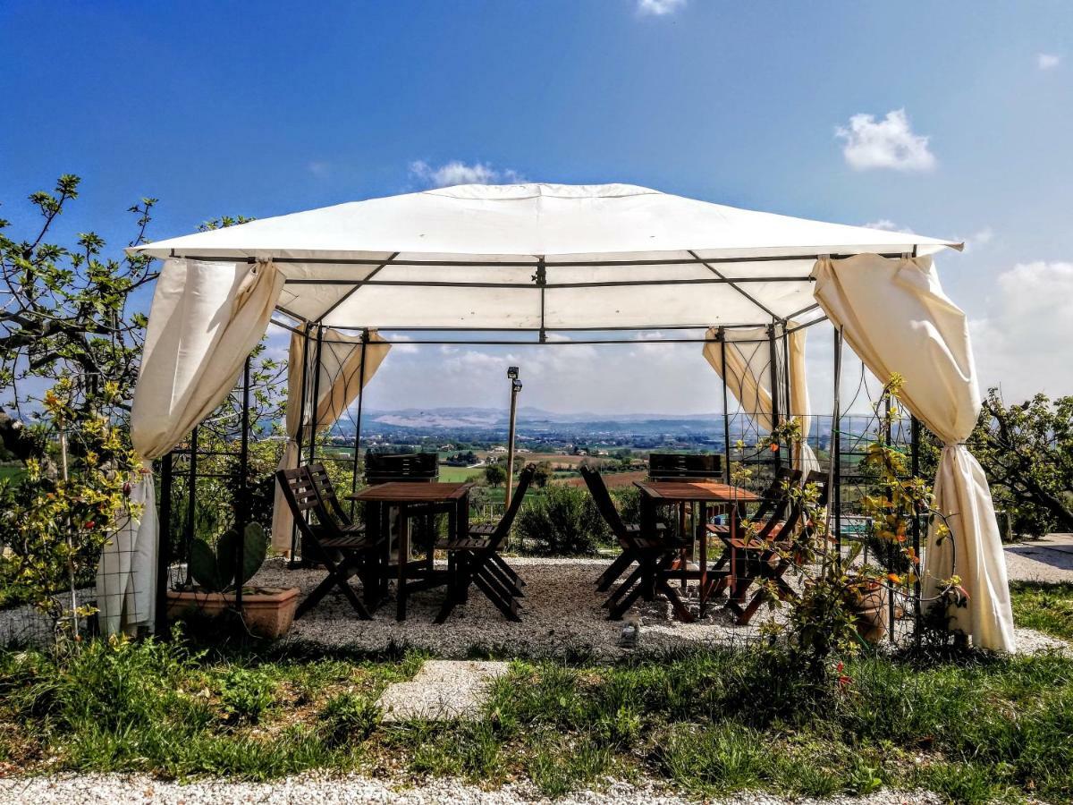 Agriturismo Rosa Antica Monte San Vito Екстериор снимка