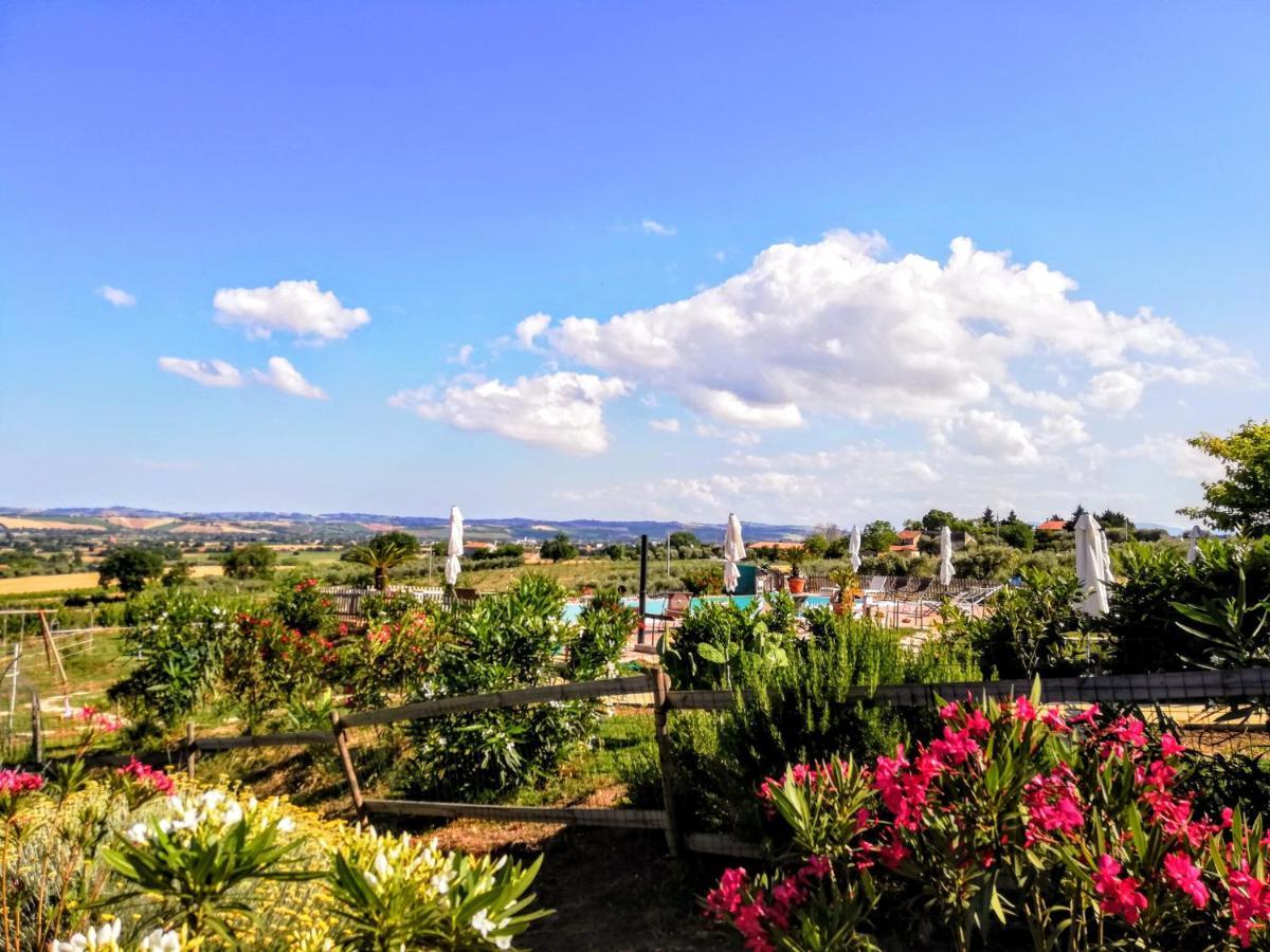 Agriturismo Rosa Antica Monte San Vito Екстериор снимка